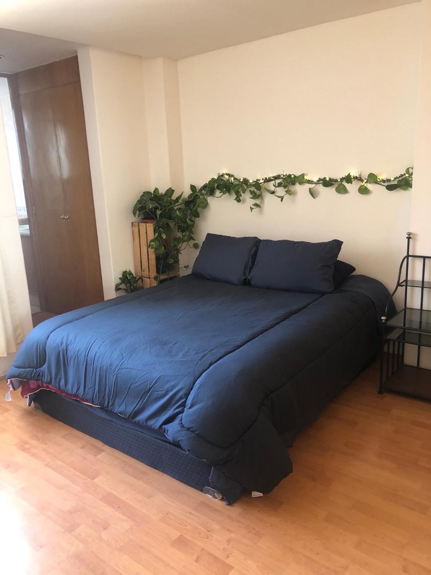 Private In Roma Norte Séjour chez l'habitant *